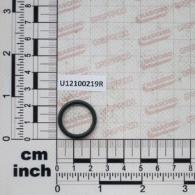 GUOR $17,86X23,1X2,62 VITON