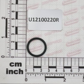 GUOR $20,63X25,87X2,62 VITON.