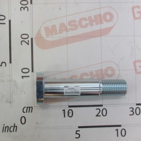 BOLT D52 M48 L250 ZN