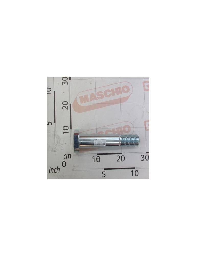 BOLT D52 M48 L250 ZN