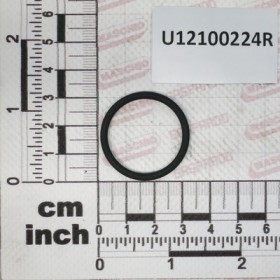 GUOR.$26,65X31,89X2,62 VITON