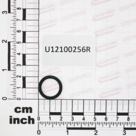 GUOR.$16X2,62X21,24 VT