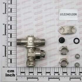 GET.DOPPIO ANTIG.OTTONE DIS.25