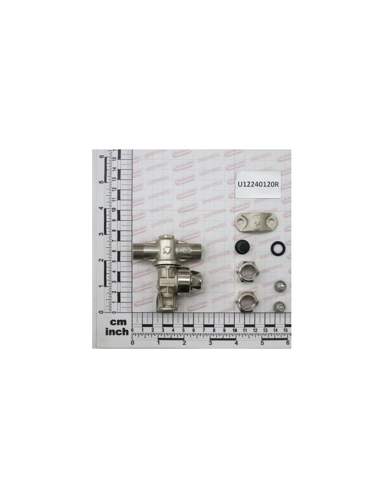 GET.DOPPIO ANTIG.OTTONE DIS.25