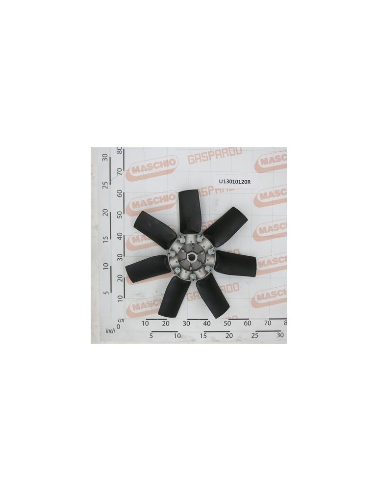 FAN  $600NY 7P 35Â° ORARIA N