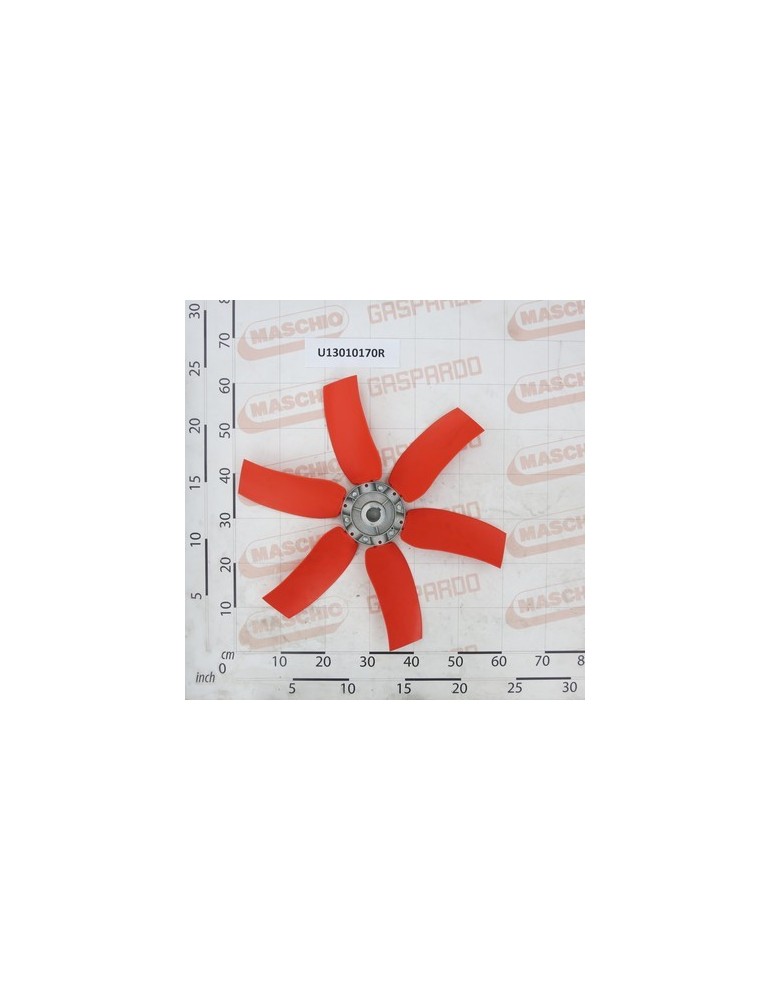 FUN D.600/6/40Â°NY D.30 40P FL