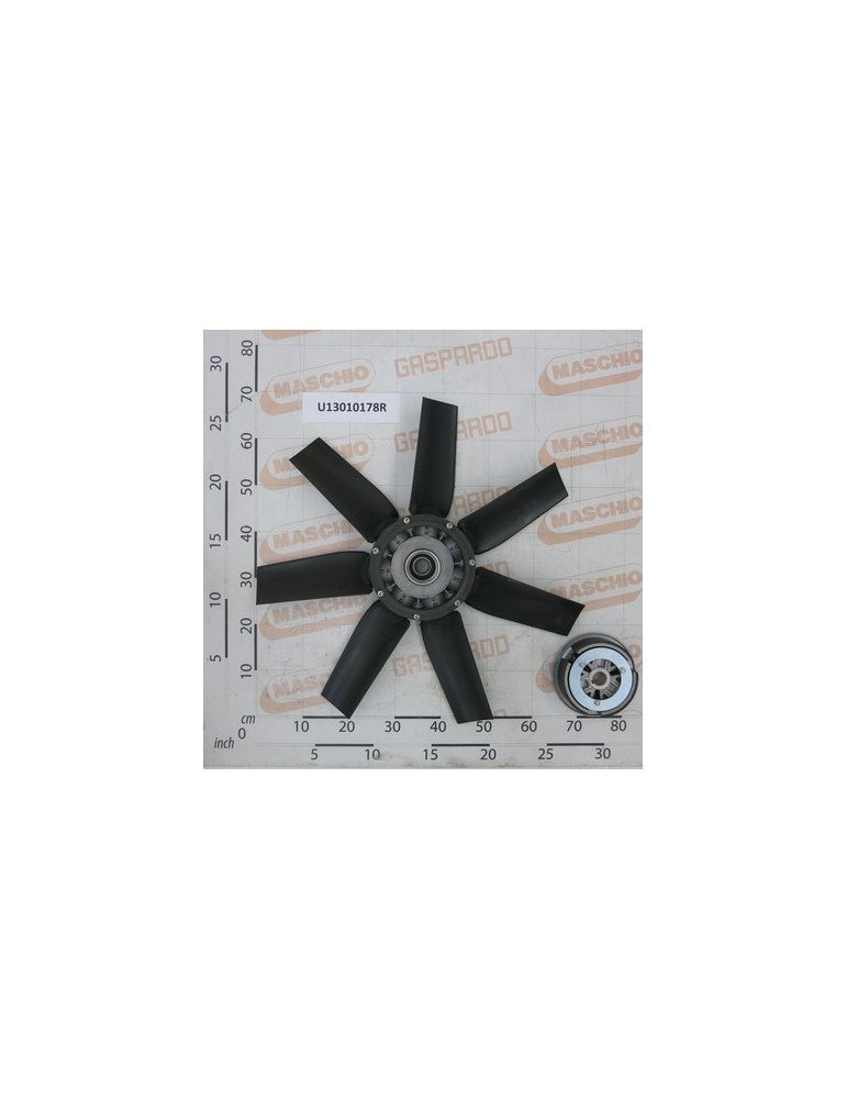 K.FAN $700 7P 35Â°NY+FRIZ.F