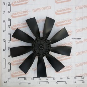 ROT.$800NY/9P CCW(ANTIOR)FL.VN