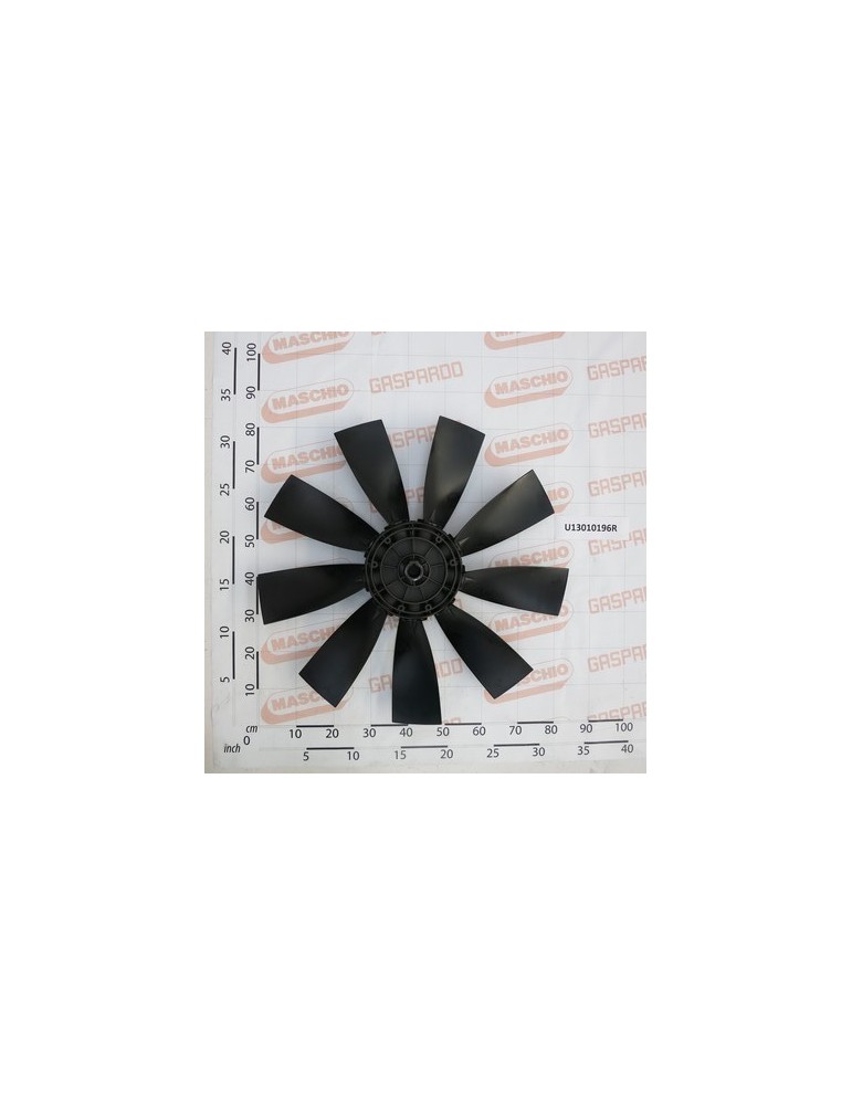 ROT.$800NY/9P CCW(ANTIOR)FL.VN