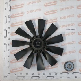 ROT.$900NY/11P CCW(ANTIOR)FVM