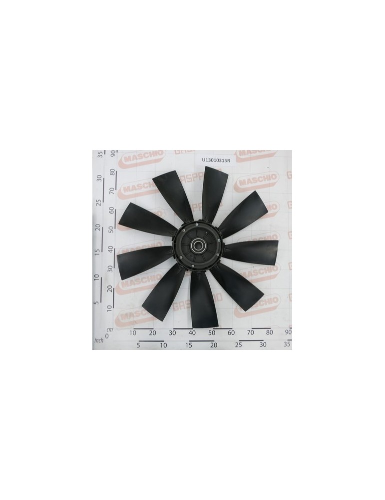 FUN.$800NY/9P CCW(ANTIOR)FVM F