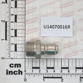 INNES RAP.1/2M P.A.26.2024.61