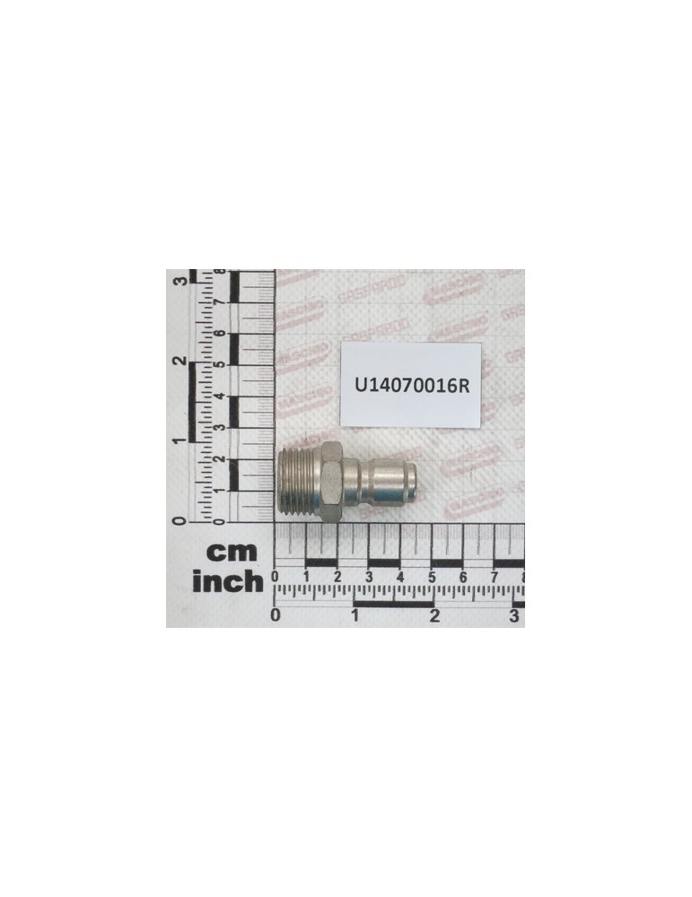 INNES RAP.1/2M P.A.26.2024.61