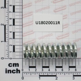 SPRING FOR GRP NRG 682-40BAR