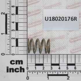 SPRING RICA $18,4X26 INX RP