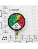 PRESSURE GAUGE ABS 0-80 40/50
