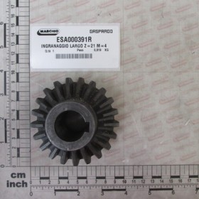 LARGE GEAR Z-21 M-4
