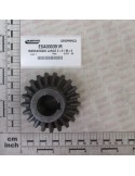 LARGE GEAR Z-21 M-4