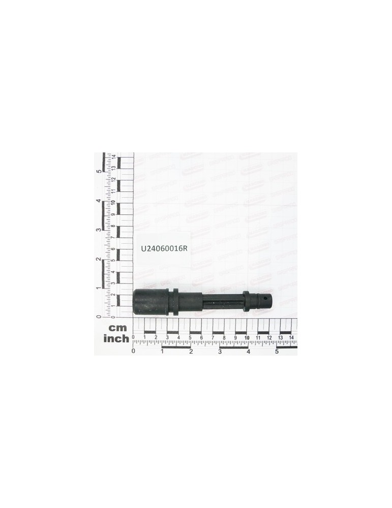 PASTILLE COCK COSTANT SPILLAGE