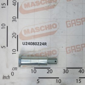 CENTRAL STEER.AXLE JOINT CAMPO