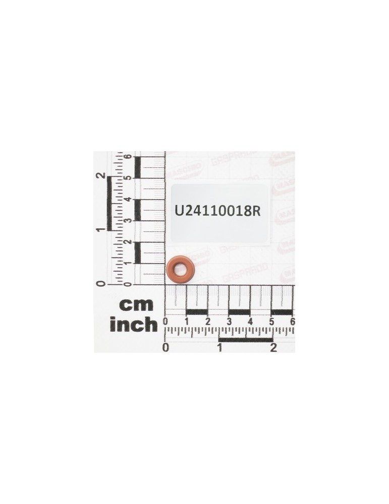 PLATE $15 FORO $1,5 ACCIAI