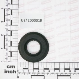 PASSAPIPE $26-30  F$43 SP4