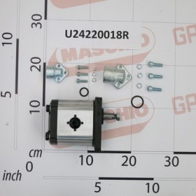 HYDR.PUMP INGR.GR.2 19CC SX+FL