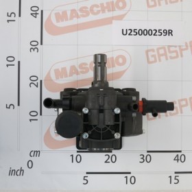 PUMP APS41 1\"3/8 M/F+FOOTS+GVS