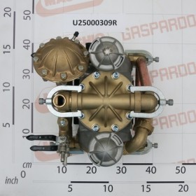 PUMP IDS1000AP M-F 1\"3/8 GVS