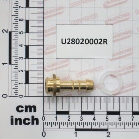 BRASS RPGMD D8