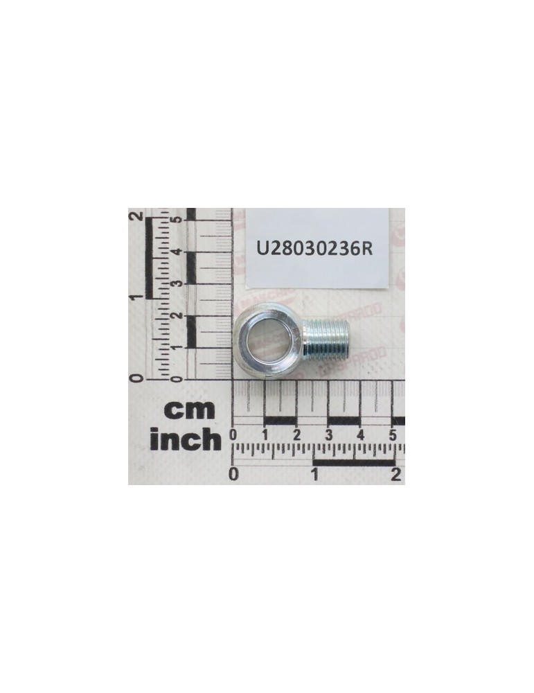 EYE FITT 1/4\"-1/4\"M AFB50404