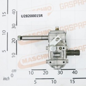MOLT CAR3 1V X MOZZO 7 PALE