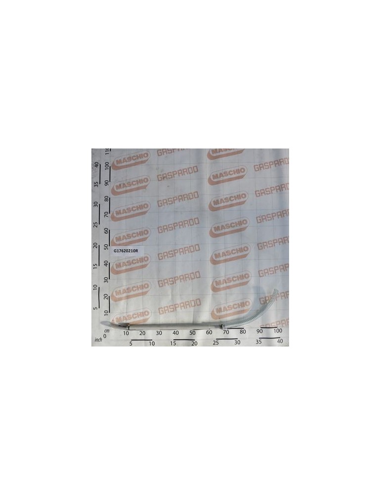 SEED DESCENT TUBE MICRO RENATA