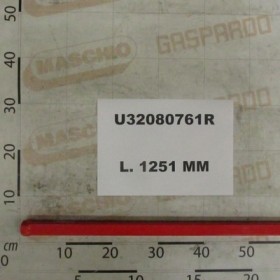 REGGICIST TUBE LOW C22-32