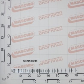 DRY LEVEL PLATE CAMPO 22(2012)