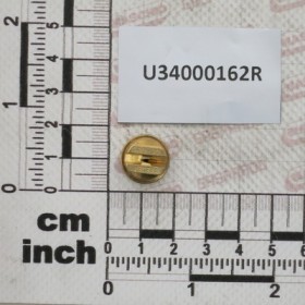 NZ PUNT ECC OC 03 OTTONE