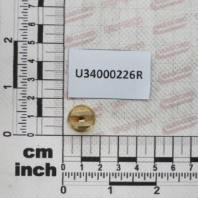 NOZZLE PUNT ECC OC 06 BRASS