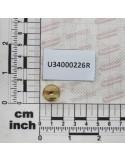 NOZZLE PUNT ECC OC 06 BRASS