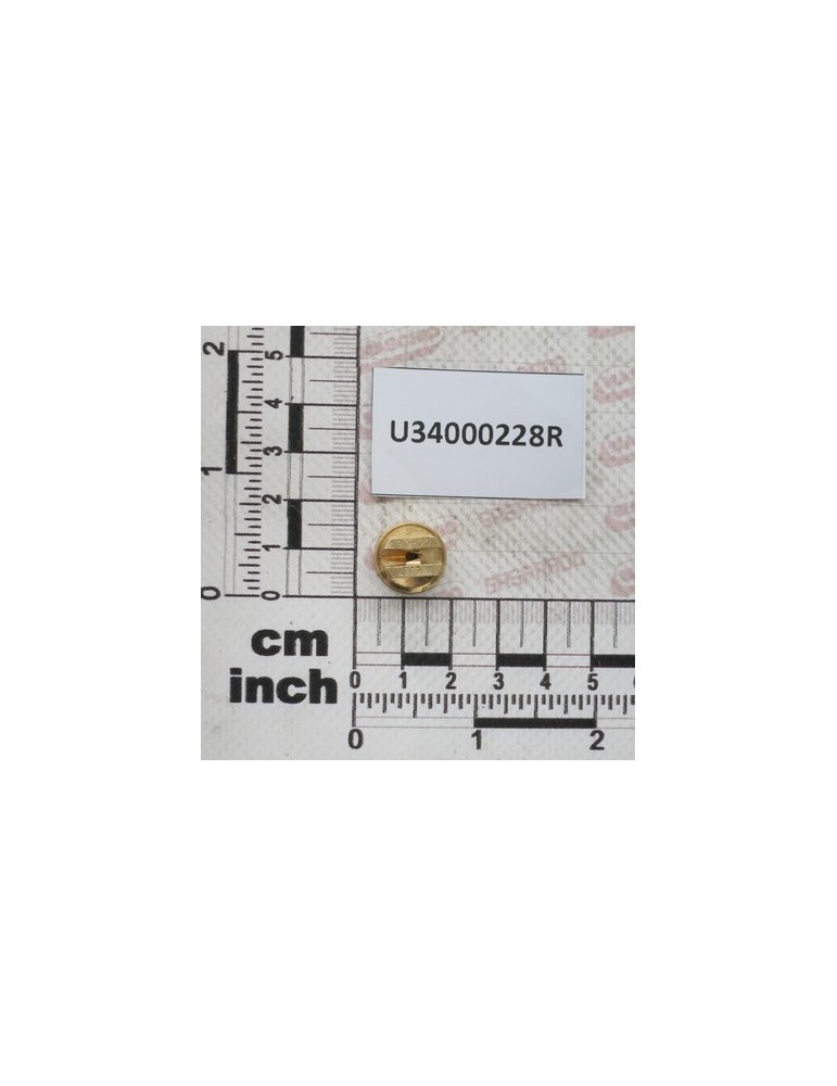 NZ PUNT ECC OC 08 OTTONE