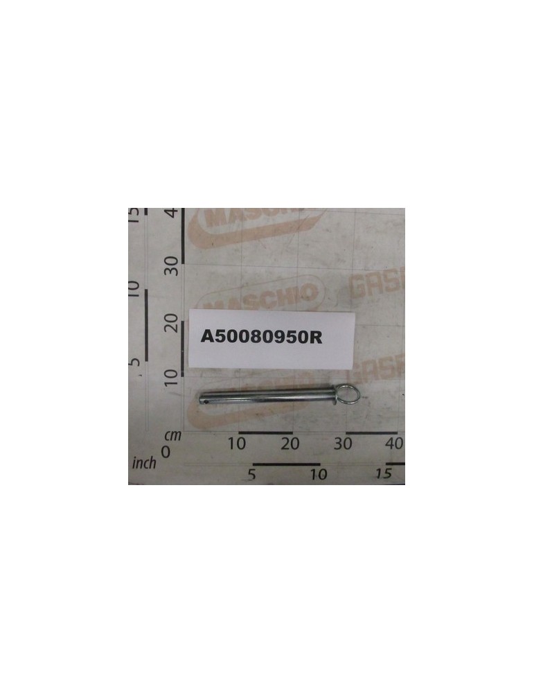 ASS.PIN D.20X238 C/ANELLO