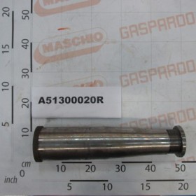PIN D100 L-447