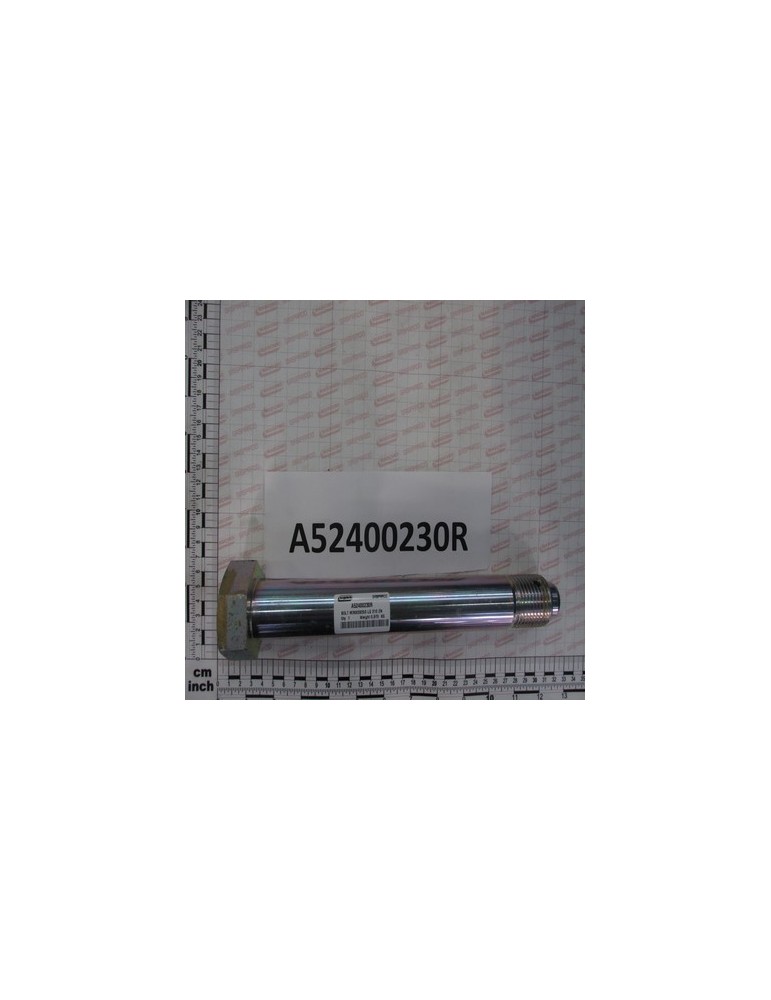 GALV.BOLT M36X3X255 LG-210