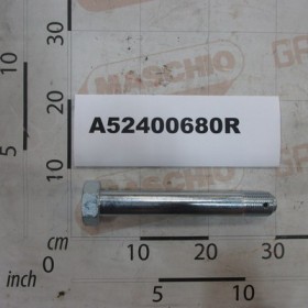 GALV.SCREW M36X3X245 LG-200