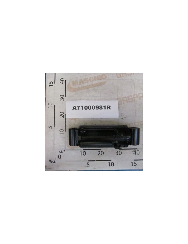 HYDR.CYL.A100 D60 C120 SNB30