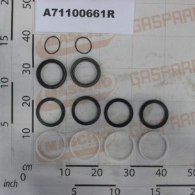 OIL SEAL KIT CYLINDER