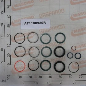 KIT SEALS FOR A71000920B