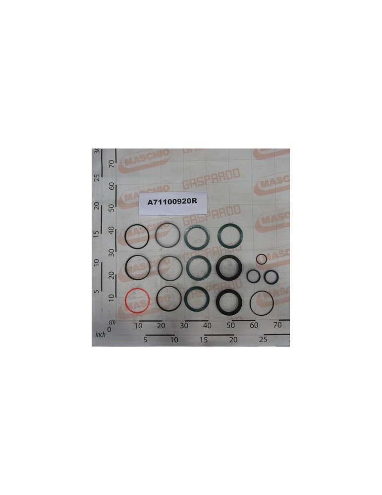 KIT SEALS FOR A71000920B