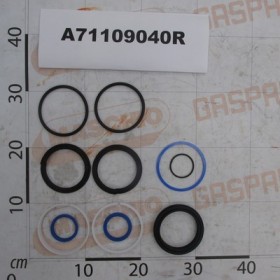 KIT HYD.CYL.GASKET A90 D40