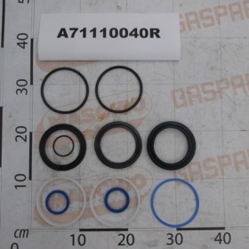 KIT HYD.CYL.GASKET A100 D40