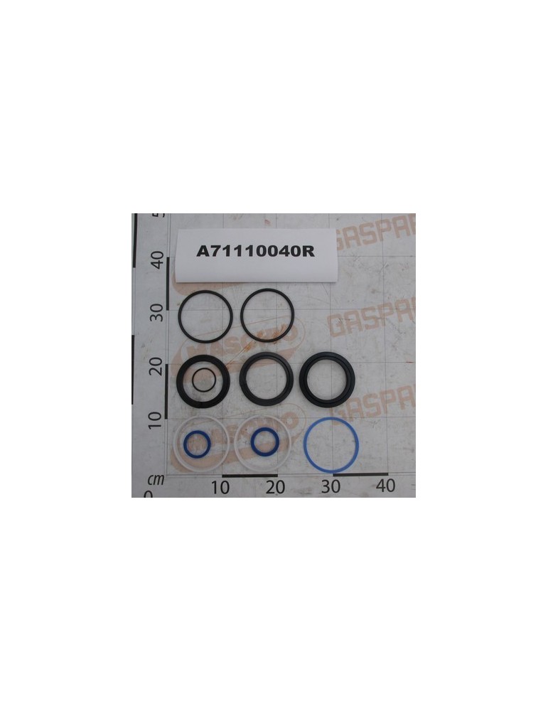 KIT HYD.CYL.GASKET A100 D40